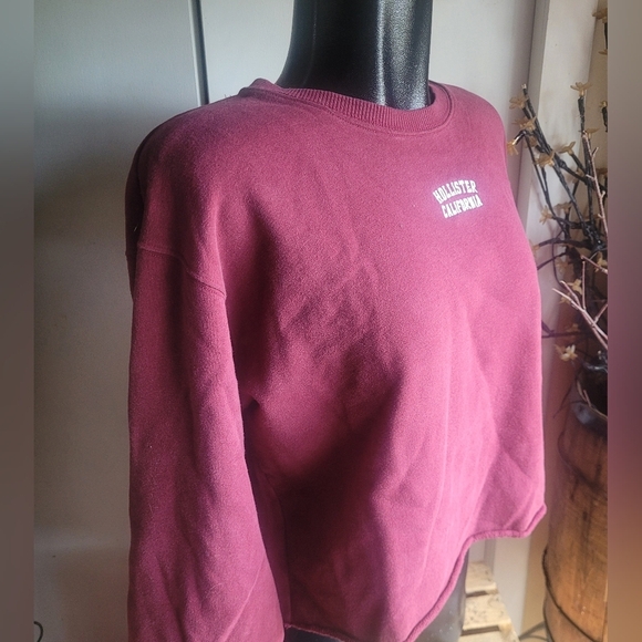 Hollister Burgundy Cropped Sweatshirt L - Picture 3 of 7